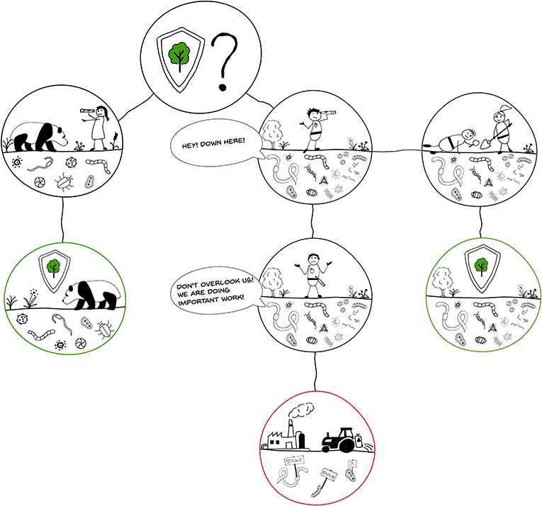 Figure 2: How do we decide which areas to protect?