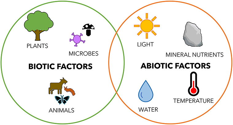 Figure 3: Important biotic factors and abiotic factors that interact in the environment.