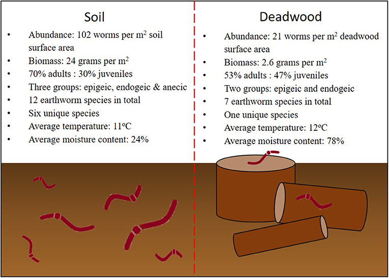 Figure 3: Summary of the results from the earthworm surveys of soil and deadwood in oak forests.