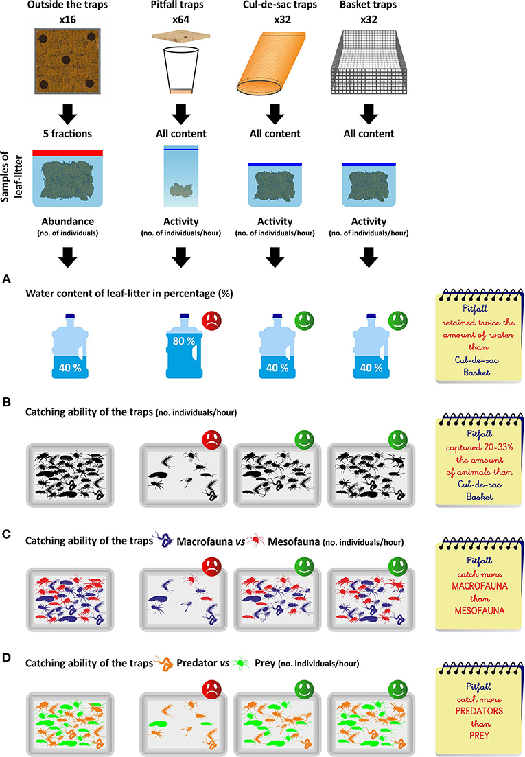 Figure 3: What type of trap best measures the activity of leaf-litter fauna?