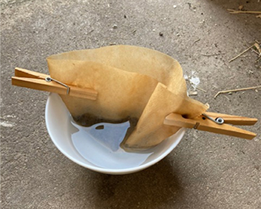 Figure 2: Nematode extraction at home.