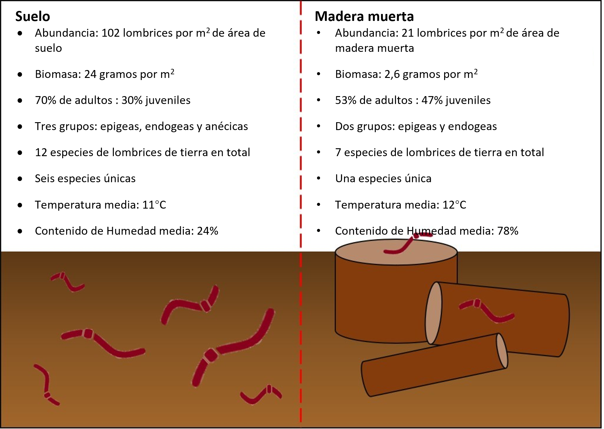 Figura 3: Síntesis de los resultados de los estudios de lombrices de tierra del suelo y de la madera muerta en bosques de robles.