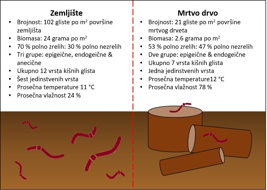 Slika 3: Rezime rezultata istraživanja kišnih glista u zemljištu i mrtvom drvetu u hrastovim šumama.