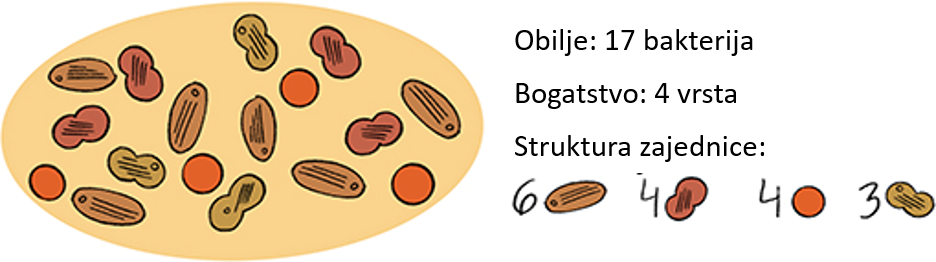 Slika 3 : Mikrobne zajednice se mogu opisati kroz tri svojstva.