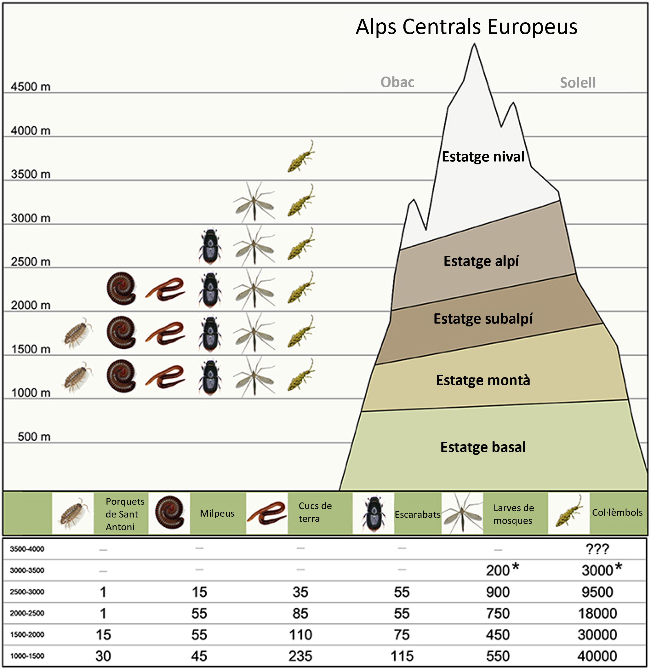 Figura 3: Què vam trobar?