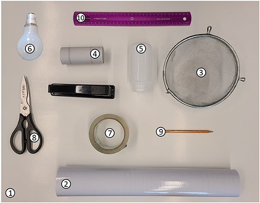 Box 1 Figure 1