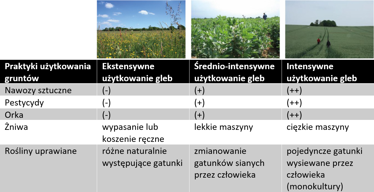 Typically, the number of earthworm species in any one place varied between 1 (areas in dark purple) and 4 (areas in bright yellow), but areas in the temperate region, such as Europe, had the highest number of earthworm species (shown in the yellow shades).