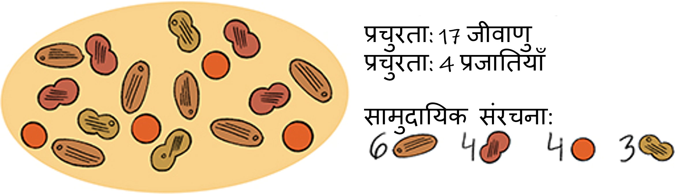 चित्र 3: माइक्रोबियल समुदायों को तीन गुणों का उपयोग करके वर्णित किया जा सकता है। बहुतायत एक निश्च??