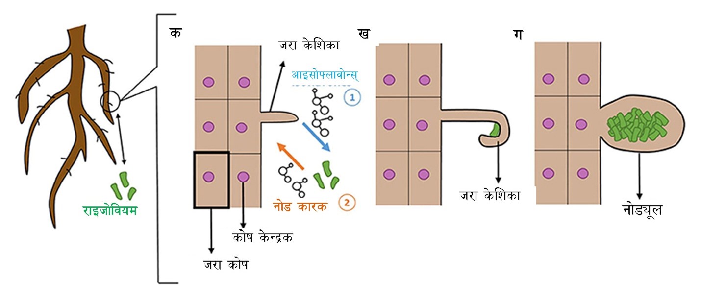 चित्र २ - प्राकृतिक वातावरणको प्रयोगका तीन सामान्य तरिकाहरू देखाइएको छ।अति कम सघन रुपमा भूमि प्??