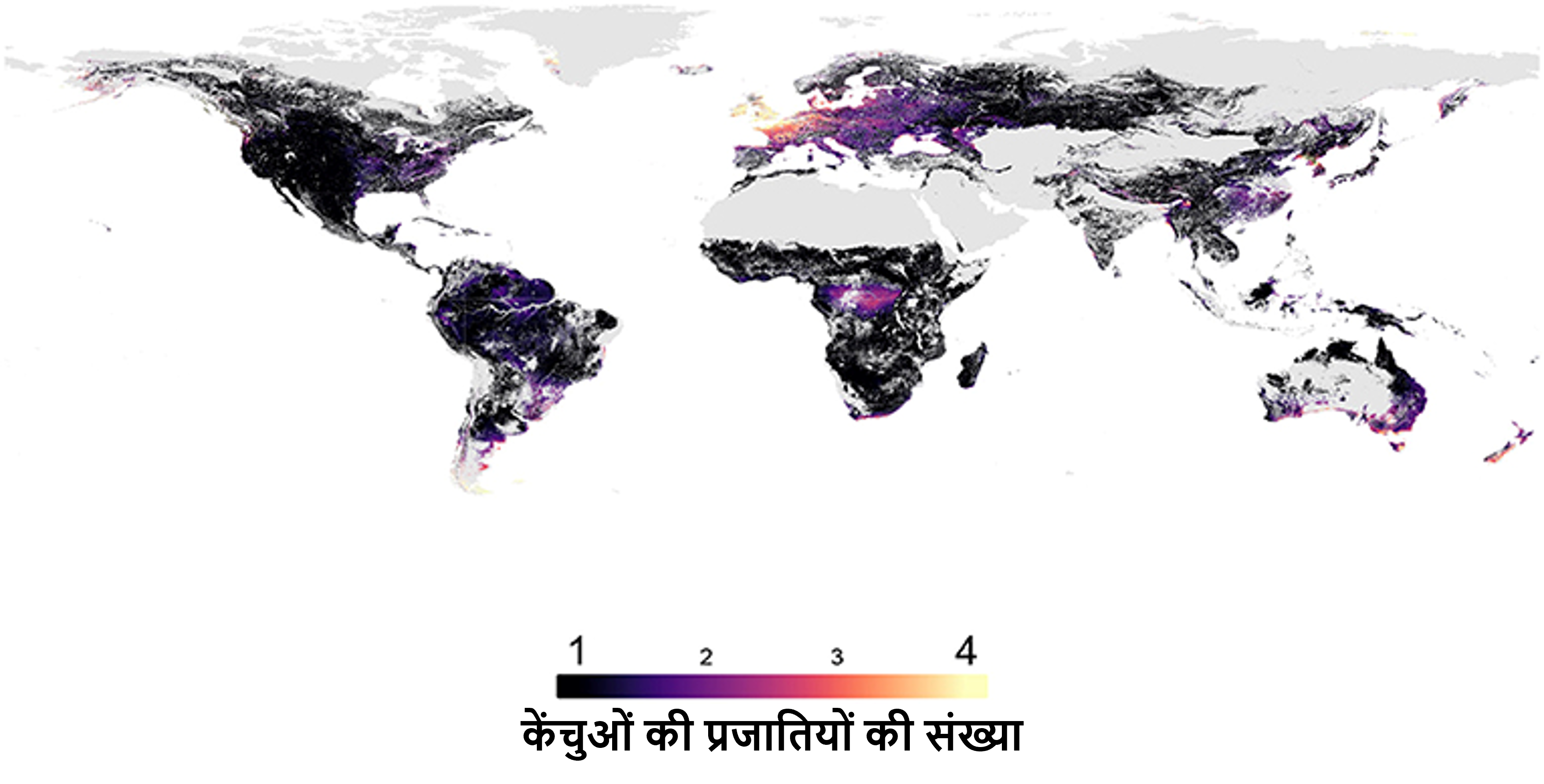 चित्र 2 - हमारे मॉडल का उपयोग करके बनाई गई दुनिया भर में केंचुओं की प्रजातियों की संख्या। कुल मिलाक