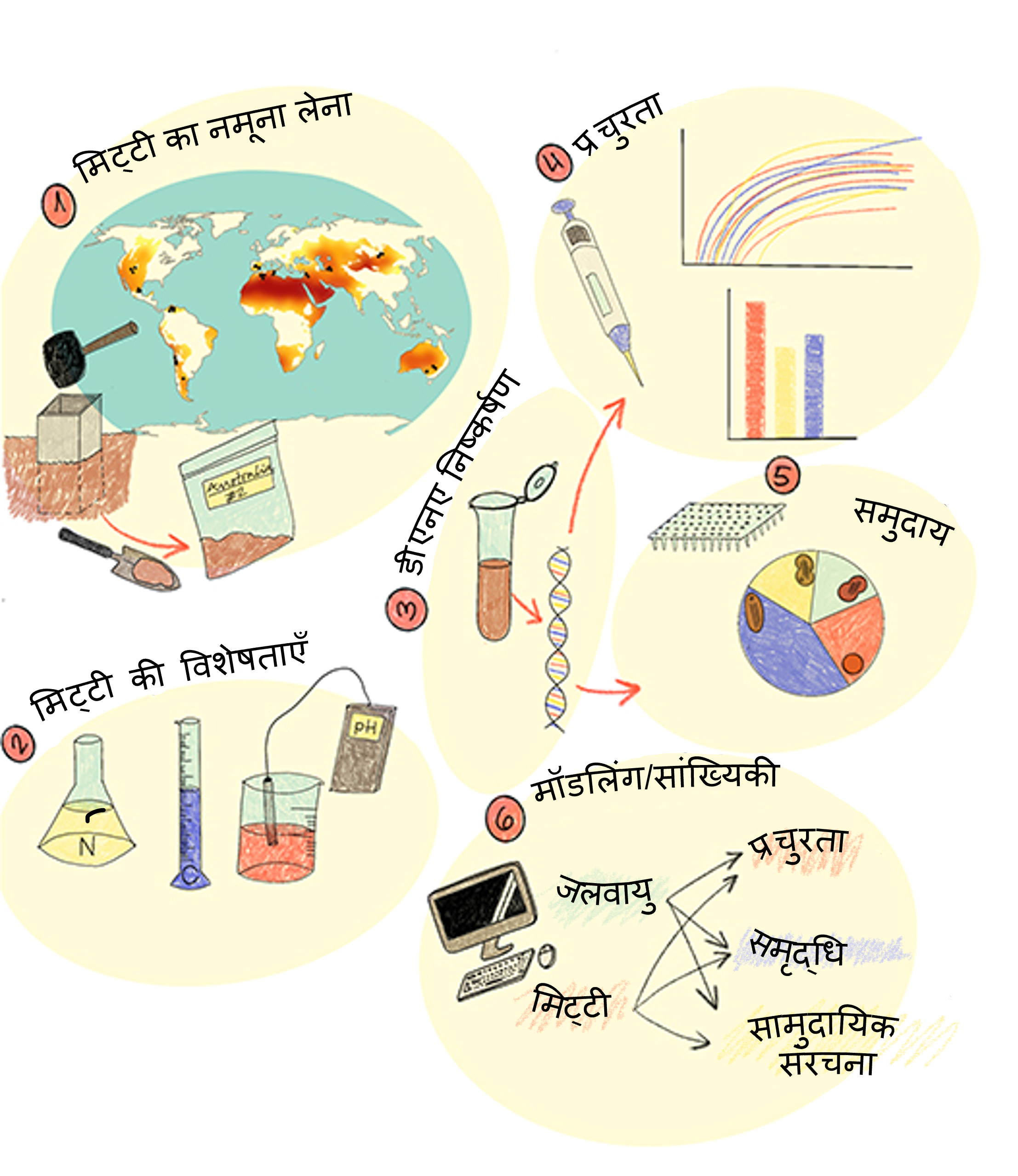 चित्र 1: मिट्टी के मीथेनोट्रोफ को खोजने और उनका अध्ययन करने के लिए हम जिन तरीकों का इस्तेमाल करते ह